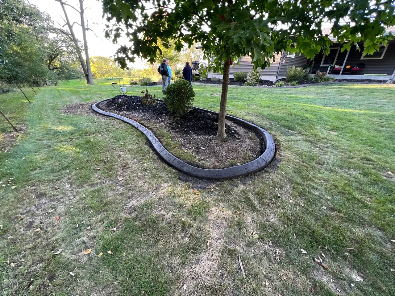 A tree with a large black strip of concrete around it.