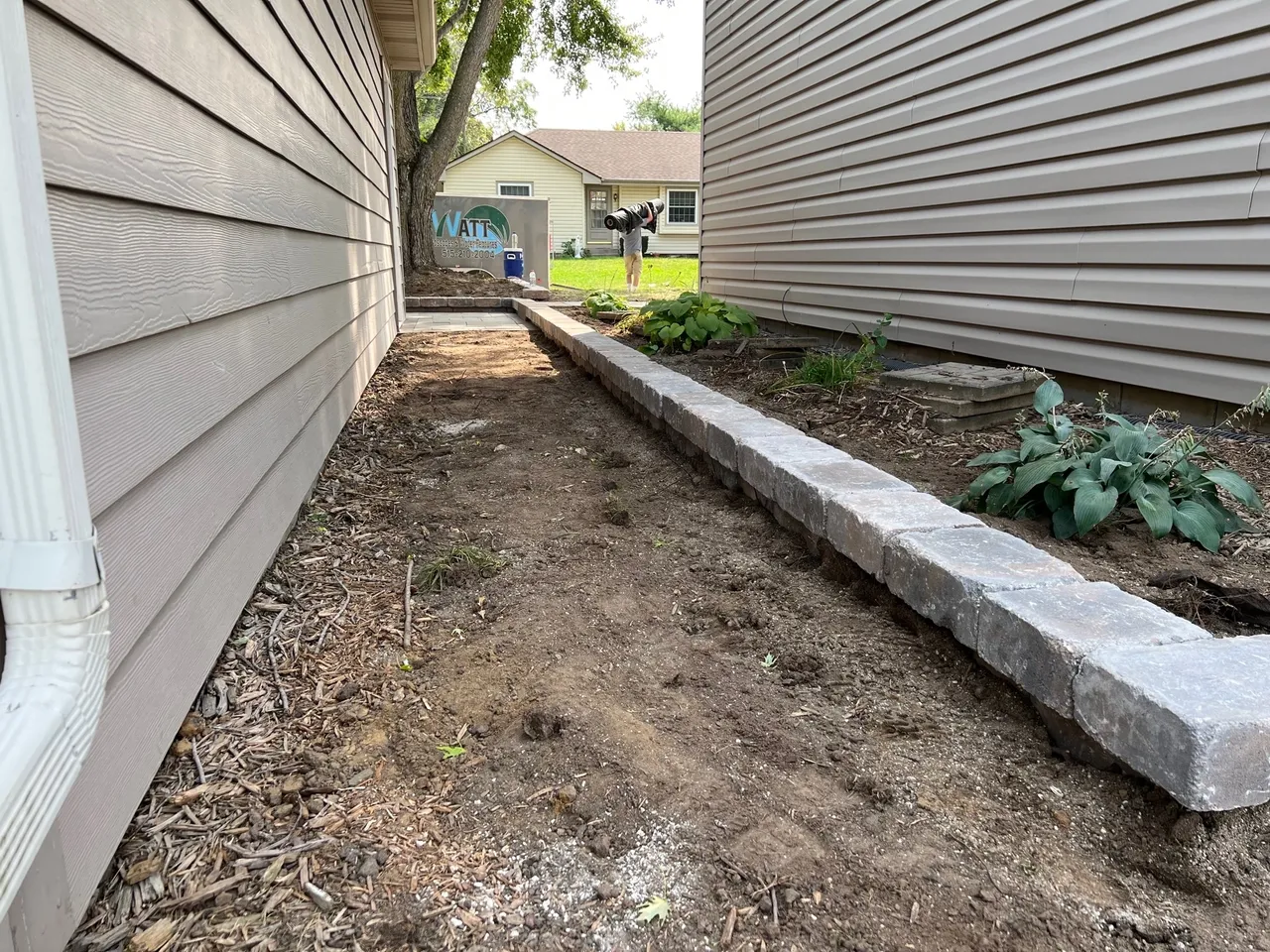 A walkway with plants growing in it next to the house.